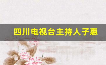 四川电视台主持人子惠_子惠的意思是什么