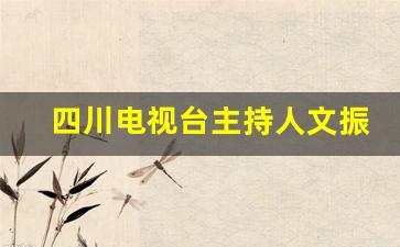 四川电视台主持人文振简介_四川电视台主持人陈淇鑫