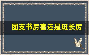 团支书厉害还是班长厉害