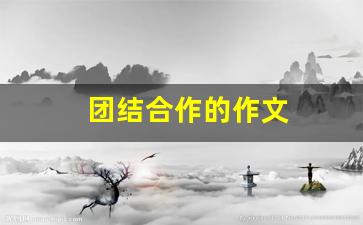 团结合作的作文