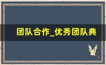 团队合作_优秀团队典型案例