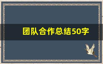 团队合作总结50字