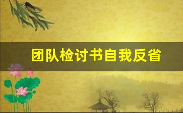 团队检讨书自我反省