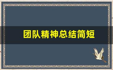 团队精神总结简短