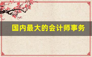 国内最大的会计师事务所排名_信永中和在八大排第几