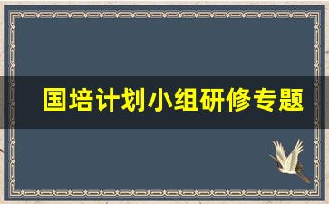 国培计划小组研修专题总结