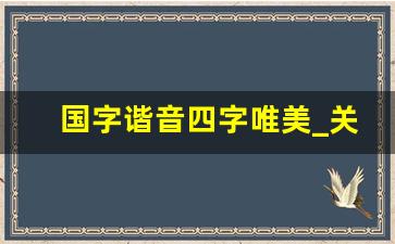 国字谐音四字唯美_关于国字的网名4个字