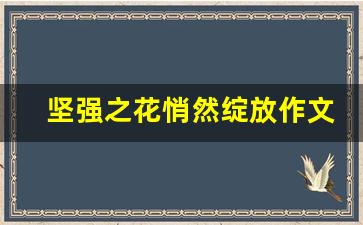 坚强之花悄然绽放作文800字