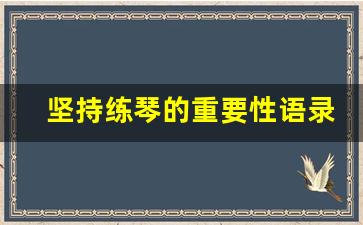 坚持练琴的重要性语录