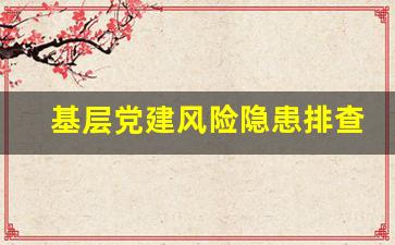 基层党建风险隐患排查台账_党建工作风险点及防控措施表