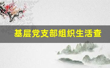 基层党支部组织生活查摆问题_2023年民主生活整改落实情况