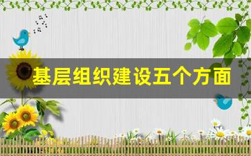 基层组织建设五个方面_个人对单位党建的意见建议