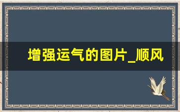 增强运气的图片_顺风顺水招财好运图片