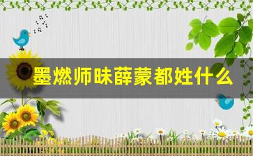 墨燃师昧薛蒙都姓什么_墨燃姓南宫