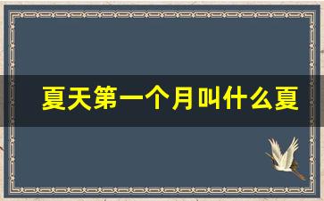 夏天第一个月叫什么夏