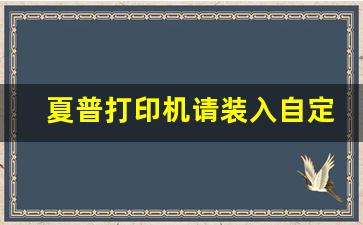 夏普打印机请装入自定义纸张_夏普打印小册子怎么设置