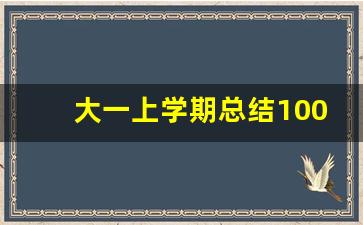 大一上学期总结1000字_大一学期总结500字