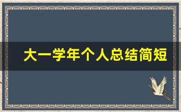 大一学年个人总结简短_大学个人总结1000字左右