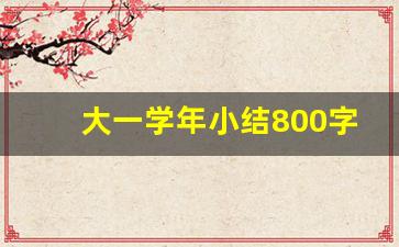 大一学年小结800字_大一自我总结800字左右