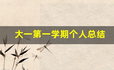 大一第一学期个人总结500字_大学大一学期个人总结500字