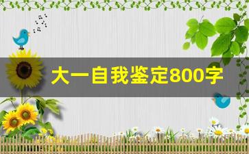 大一自我鉴定800字大学生