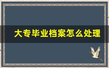 大专毕业档案怎么处理_个人档案怎么放到人才市场