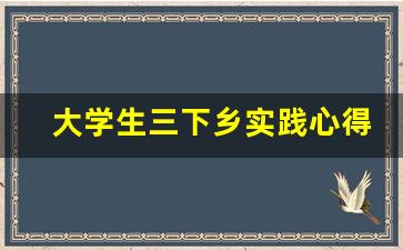 大学生三下乡实践心得