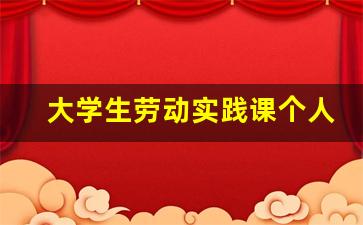 大学生劳动实践课个人总结_大学生劳动教育实践课程总结