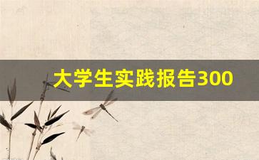 大学生实践报告3000字敬老院