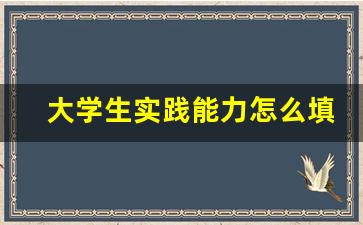 大学生实践能力怎么填写