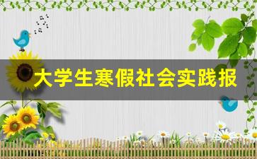 大学生寒假社会实践报告3000字范文_大学社会调查报告范文