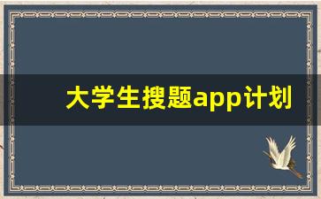 大学生搜题app计划书_大学生旅游app策划书