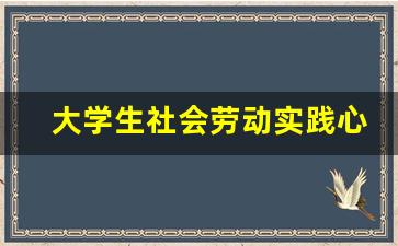 大学生社会劳动实践心得体会_大学生劳动实践感想