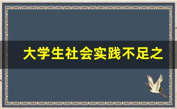 大学生社会实践不足之处怎么写