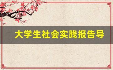 大学生社会实践报告导师评语_社会实践班导师评语大学