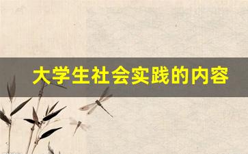 大学生社会实践的内容_实践主要内容怎么写