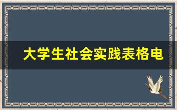 大学生社会实践表格电子版_社会实践报告表格模板