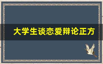 大学生谈恋爱辩论正方_该不该大学设立恋爱课辩论