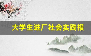 大学生进厂社会实践报告1500字_社会实践500字