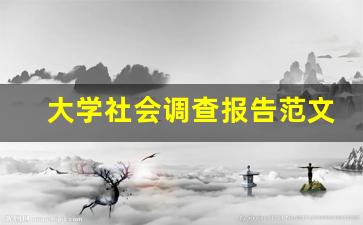 大学社会调查报告范文