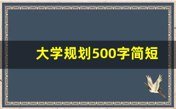 大学规划500字简短