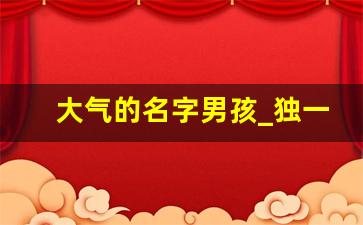 大气的名字男孩_独一无二的男孩名字