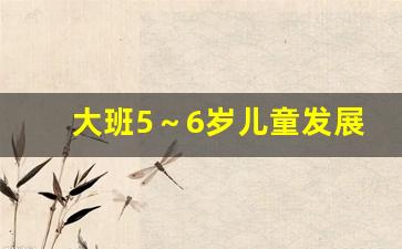 大班5～6岁儿童发展指南内容_幼儿园3-6岁儿童指南内容