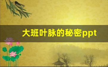 大班叶脉的秘密ppt_中班科学《不同的树叶》