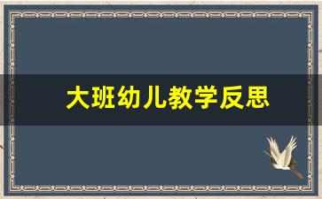 大班幼儿教学反思