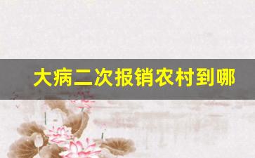 大病二次报销农村到哪报