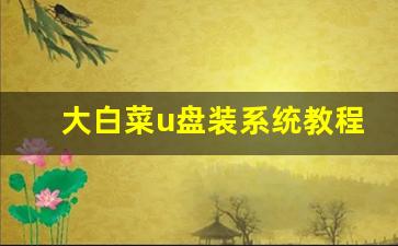 大白菜u盘装系统教程_大白菜设置c盘为启动盘