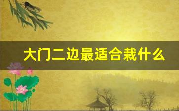 大门二边最适合栽什么_门前6种树最旺宅