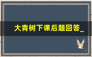 大青树下课后题回答_大青树下小学作业卷子