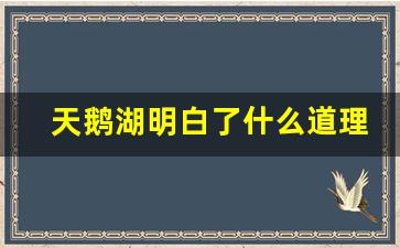 天鹅湖明白了什么道理_天鹅湖观后感诗句